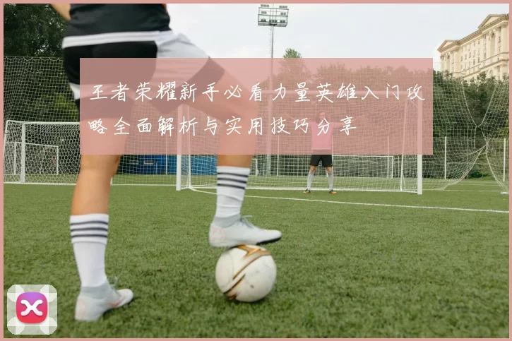 王者荣耀新手必看力量英雄入门攻略全面解析与实用技巧分享