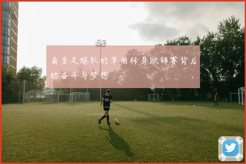 南京足球队的华丽转身欧锦赛背后的奋斗与梦想