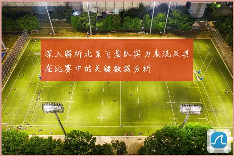 深入解析北京飞盘队实力表现及其在比赛中的关键数据分析