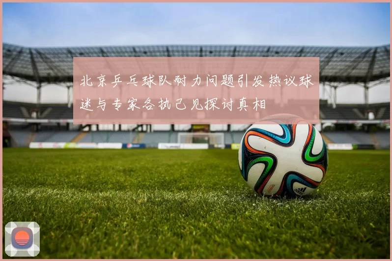 北京乒乓球队耐力问题引发热议球迷与专家各执己见探讨真相