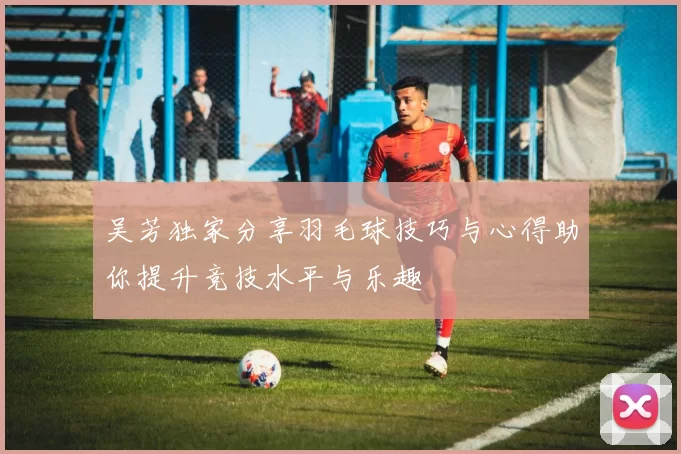 吴芳独家分享羽毛球技巧与心得助你提升竞技水平与乐趣