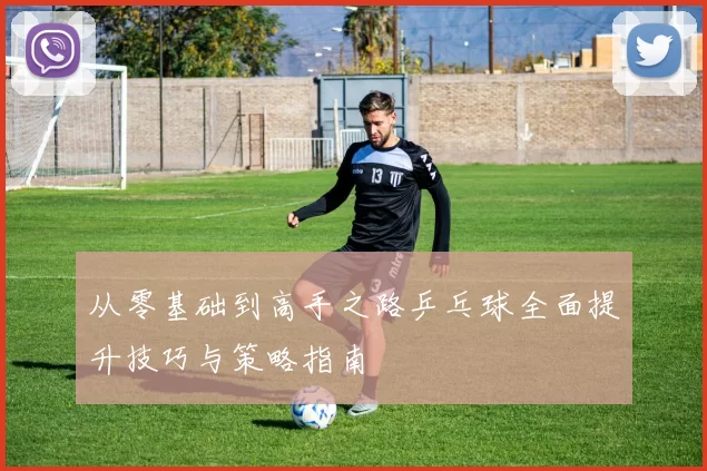 从零基础到高手之路乒乓球全面提升技巧与策略指南