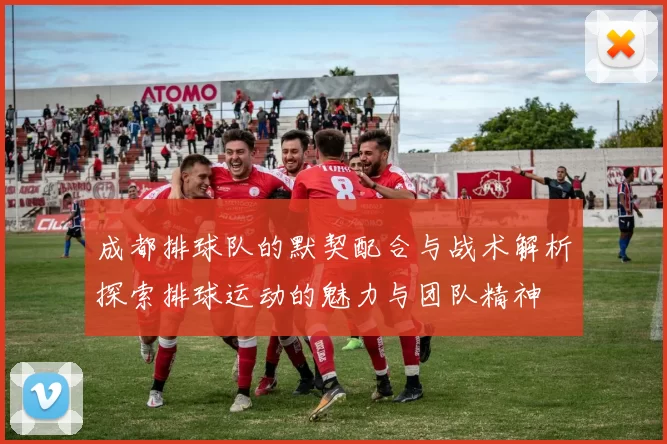 成都排球队的默契配合与战术解析探索排球运动的魅力与团队精神