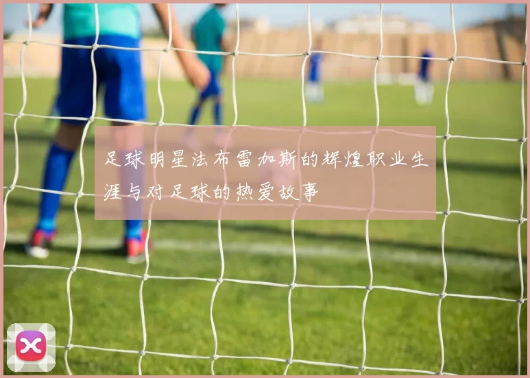 足球明星法布雷加斯的辉煌职业生涯与对足球的热爱故事
