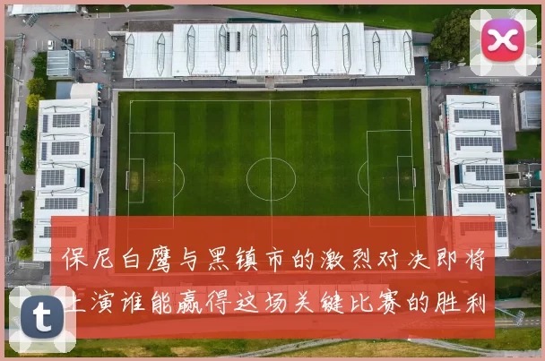 保尼白鹰与黑镇市的激烈对决即将上演谁能赢得这场关键比赛的胜利