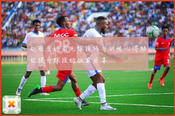 赵丽亲述羽毛球技巧与训练心得助你提升球技的独家分享