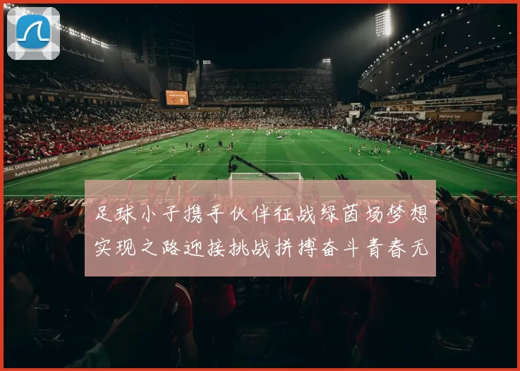 足球小子携手伙伴征战绿茵场梦想实现之路迎接挑战拼搏奋斗青春无限