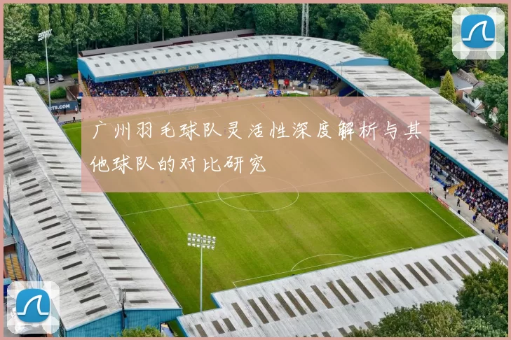 广州羽毛球队灵活性深度解析与其他球队的对比研究