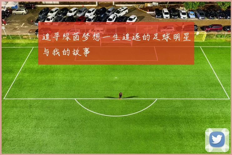 追寻绿茵梦想一生追逐的足球明星与我的故事